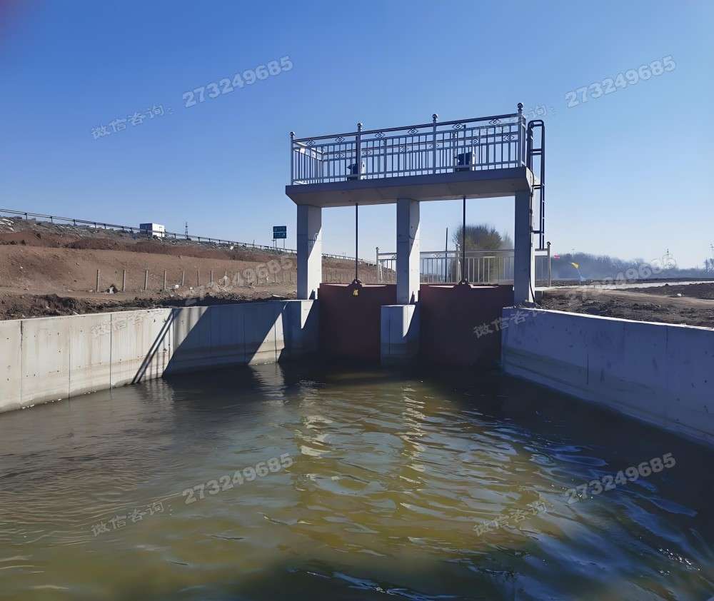 汝阳县大型双孔渠道闸门